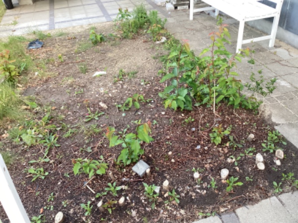 Lægning af fliser terrasse