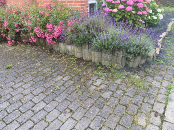 Fjernelse af ukrudt rundt om hus