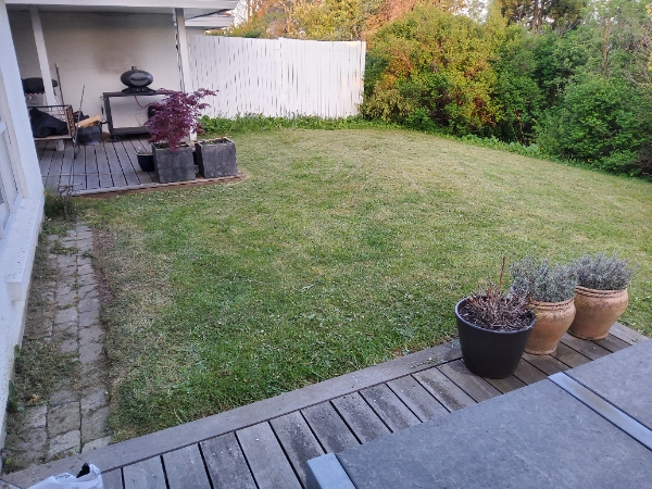 fræsning og nivelering af græsplane