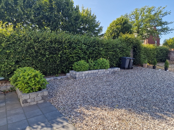 Hækklipning af 275 m bøgehæk på indvendig og udvendig side samt top. 180 cm høj