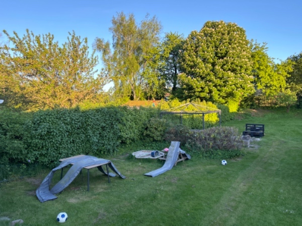 Hæktrimning og formning