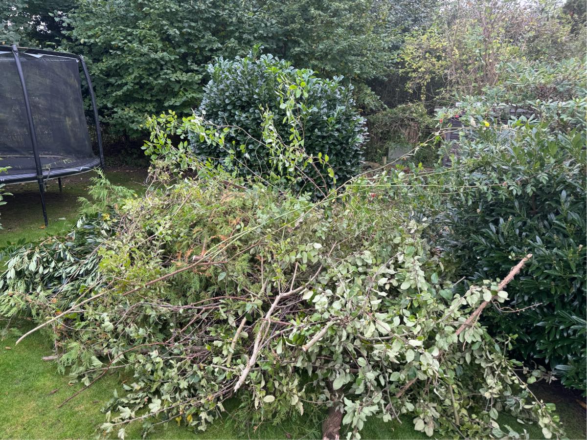 Bortskaffelse af haveaffald og euro paller