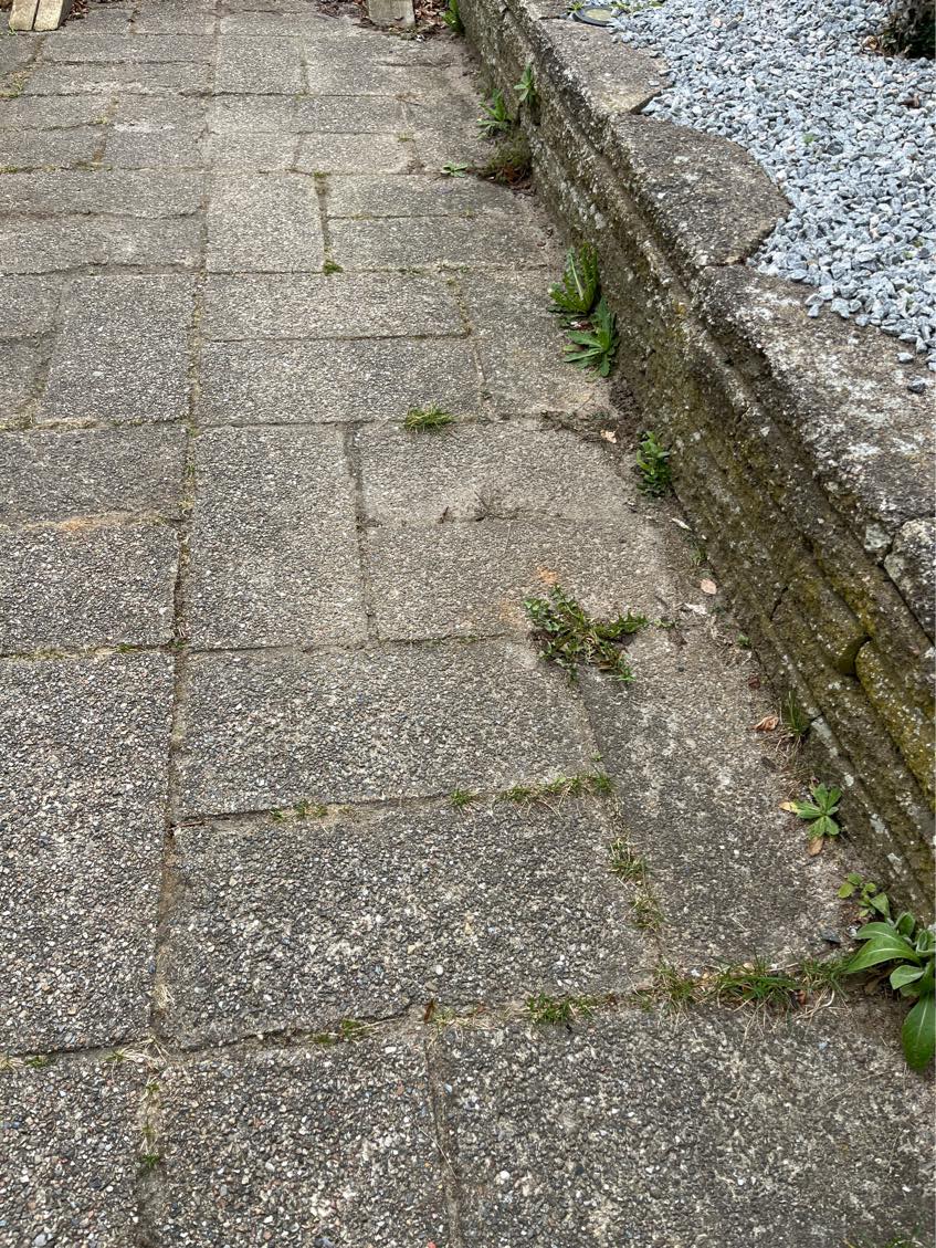 Ukrudt mellem fliser i indkørsel og havegang