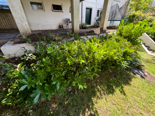 Fjerne hæk og haveaffald