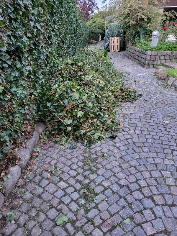 Pick up garden trash