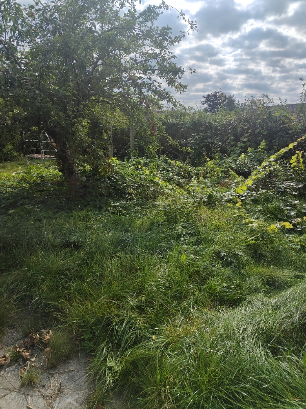 Græsslåning og rydning af ukrudt