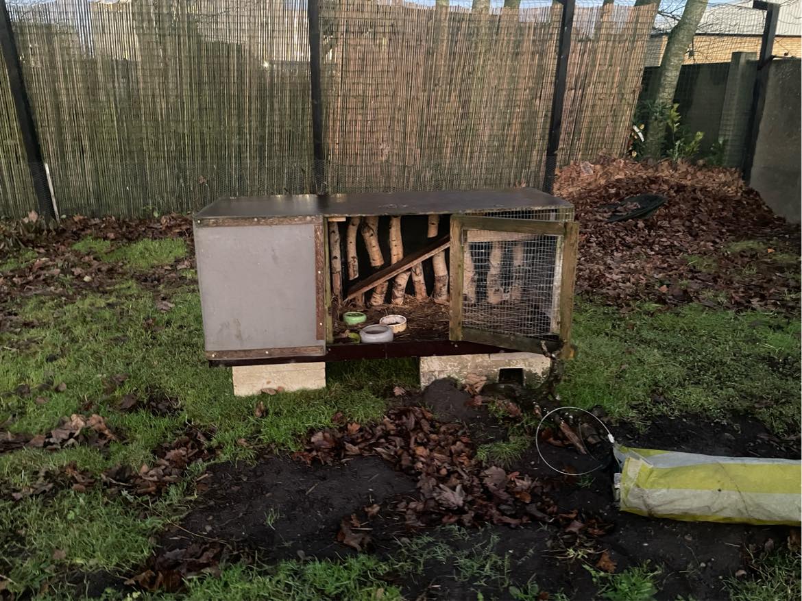 Hjælp til at flytte pallemøbler, 2 frysere, 1 lille shelter, nogle mindre og et stort kaninbur + diverse