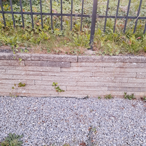 Tær gravning og haven arbejde