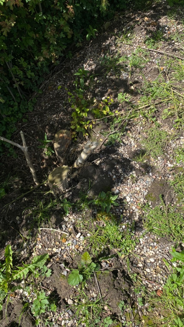 Gravearbejde for 10-15 stumper