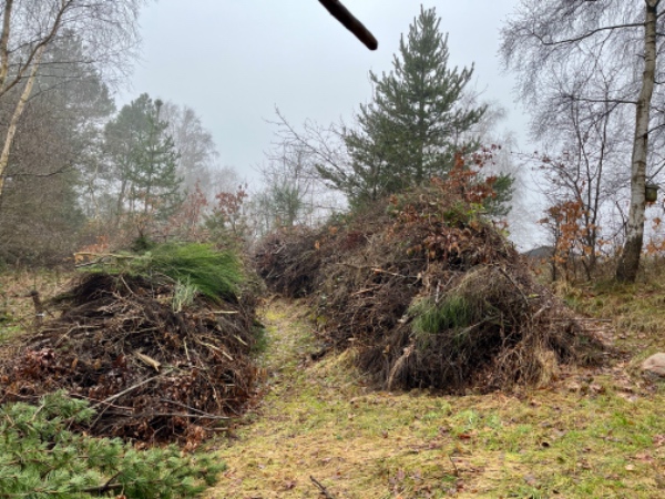 Bortskaffelse af haveaffald