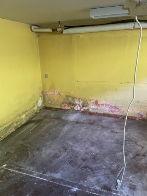 Fjern tapet og bank udvendig fugt plamager af i kølderrum