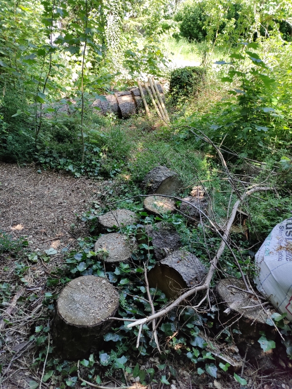 Kløve en masse brænde med en elektrisk brændekløver. Der er 11 træer. Se evt. Billeder