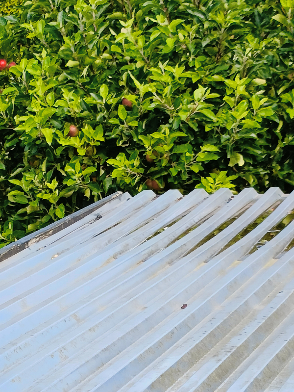 nyt plast profil tag på redskabsskur eller reparation - det er utæt