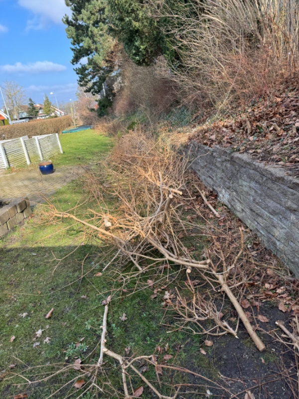 Fjernet haveaffald (inkl. hæk der er skåret ned)