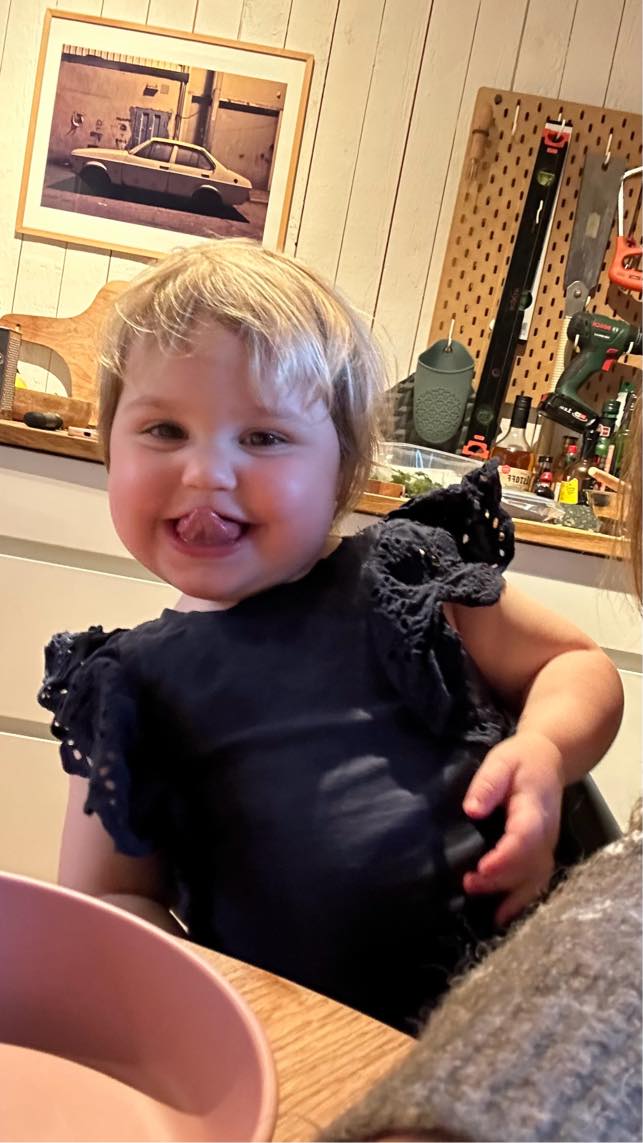 Reperere indvendig dør