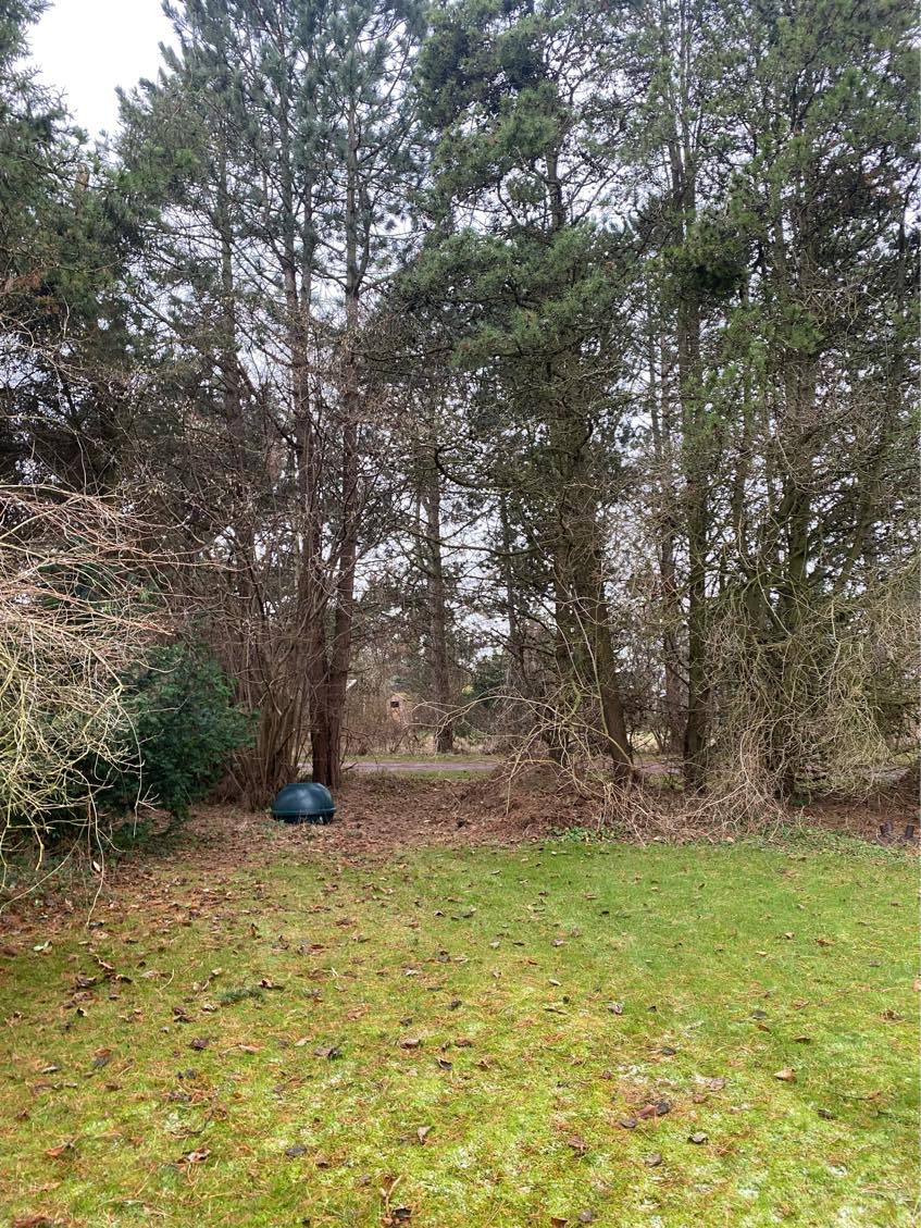 Bortskaffelse af haveaffald