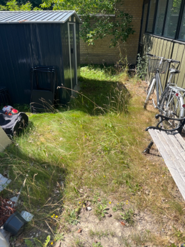 Haven skal gøres sommerklar