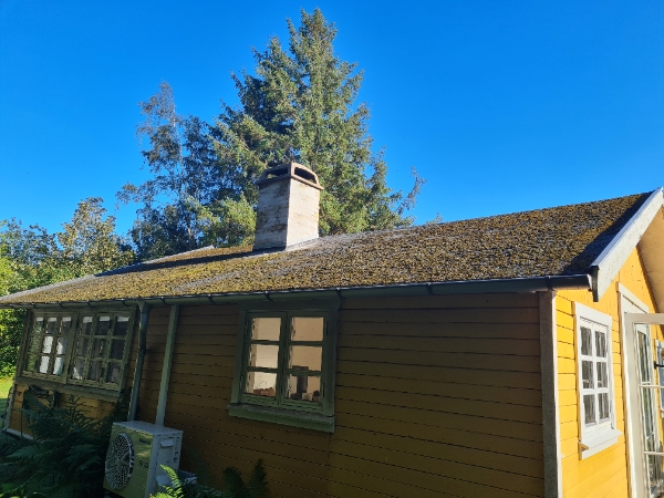 Tagpap på ca 30 kvadratmeter sommerhua tag