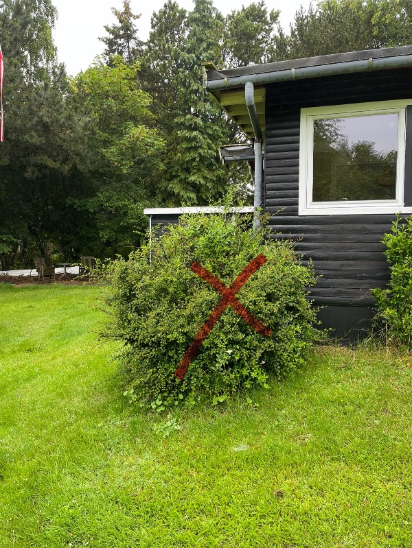 Fældning af træer og buske