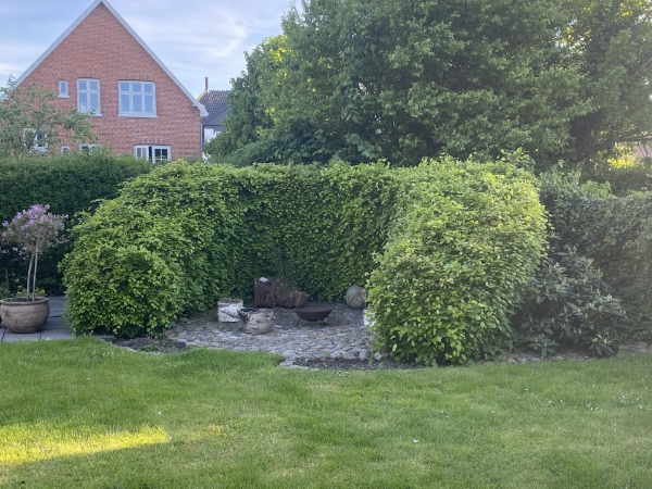 Hækklipning og affaldsfjernelse