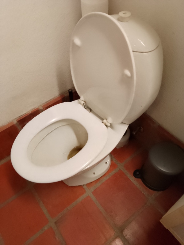 udskiftning af toilet