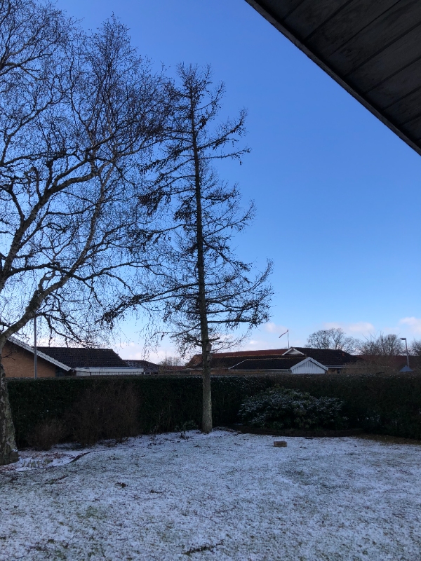 Vi skal have fældet 2 træer med rodfræsning, hvor vi selv står for oprydning og bortskaffelse