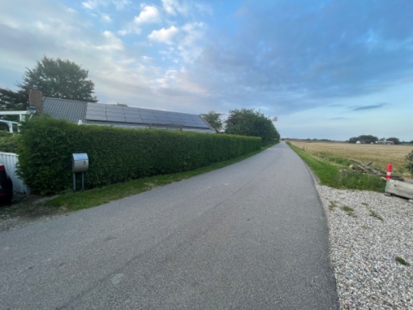 Klipning af ca. 30m thuja hæk