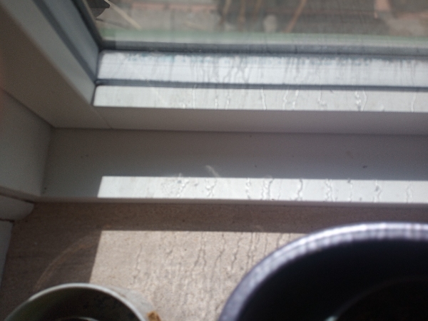 Jeg skal have udskiftet en 2-lags energirude med målene: 122 x 47 cm