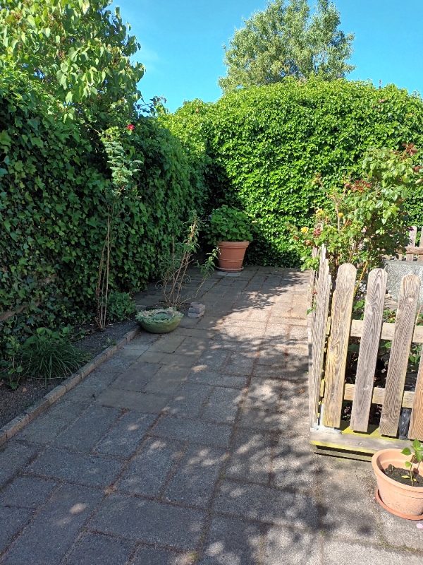 Hækklipning og ukrudtsfjernelse