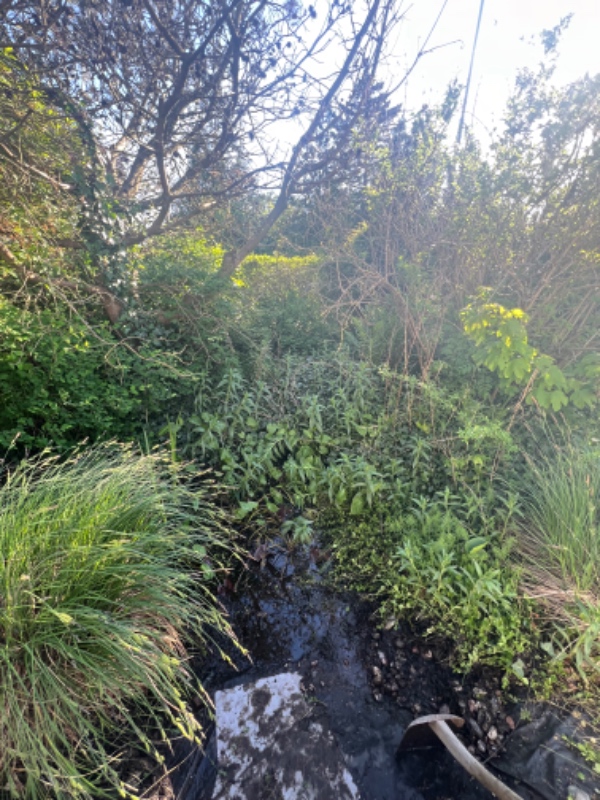Havearbejde og fjernelse af sten