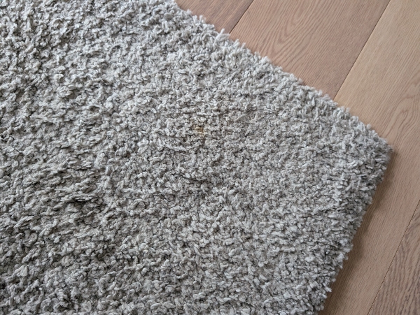 Damprensning af sofa og tæppe