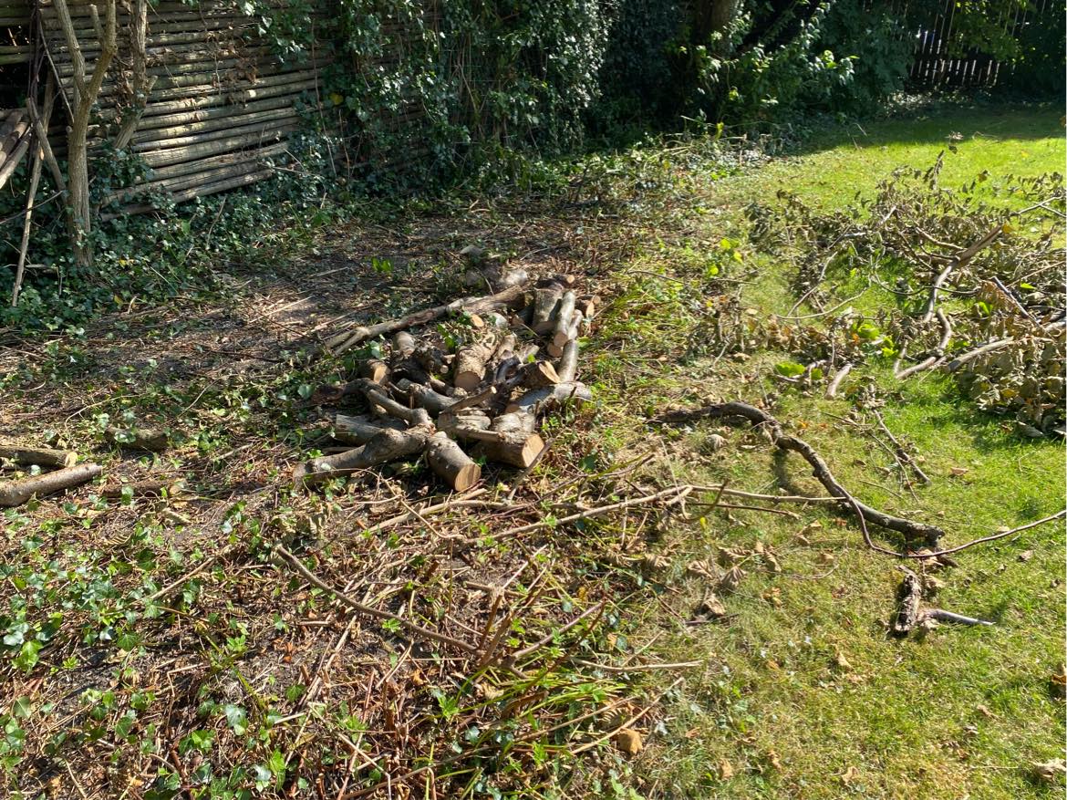 Udgraving af buske af 50 kvadrat meter have