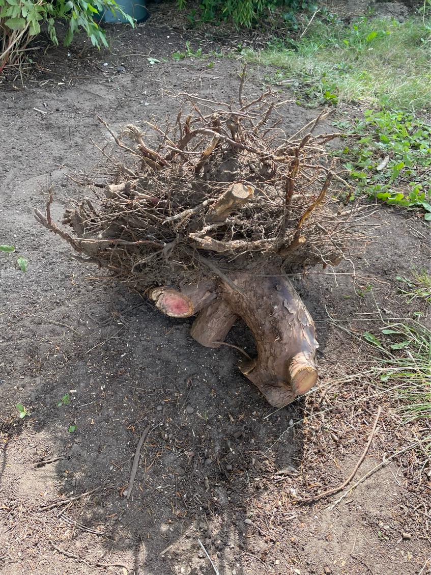 Haveaffald til genbrugspladsen