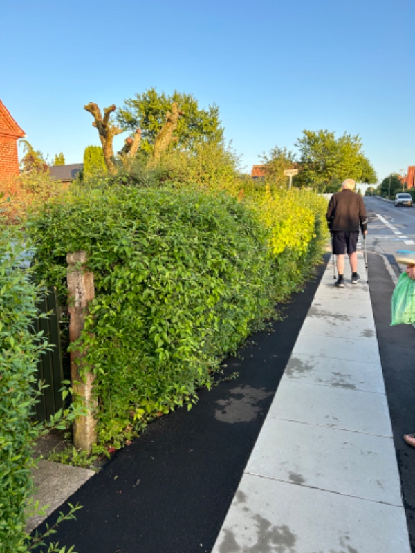 Hækkeklipning og affaldsfjernelse