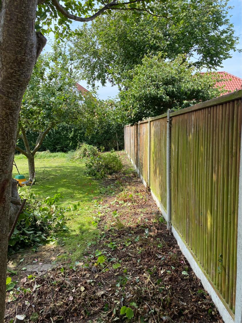 Bortkørsel af affald