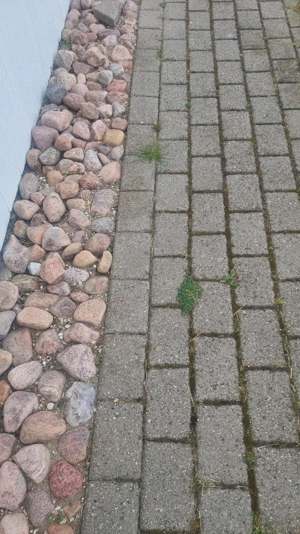 Fjern ukrudt og slå græs