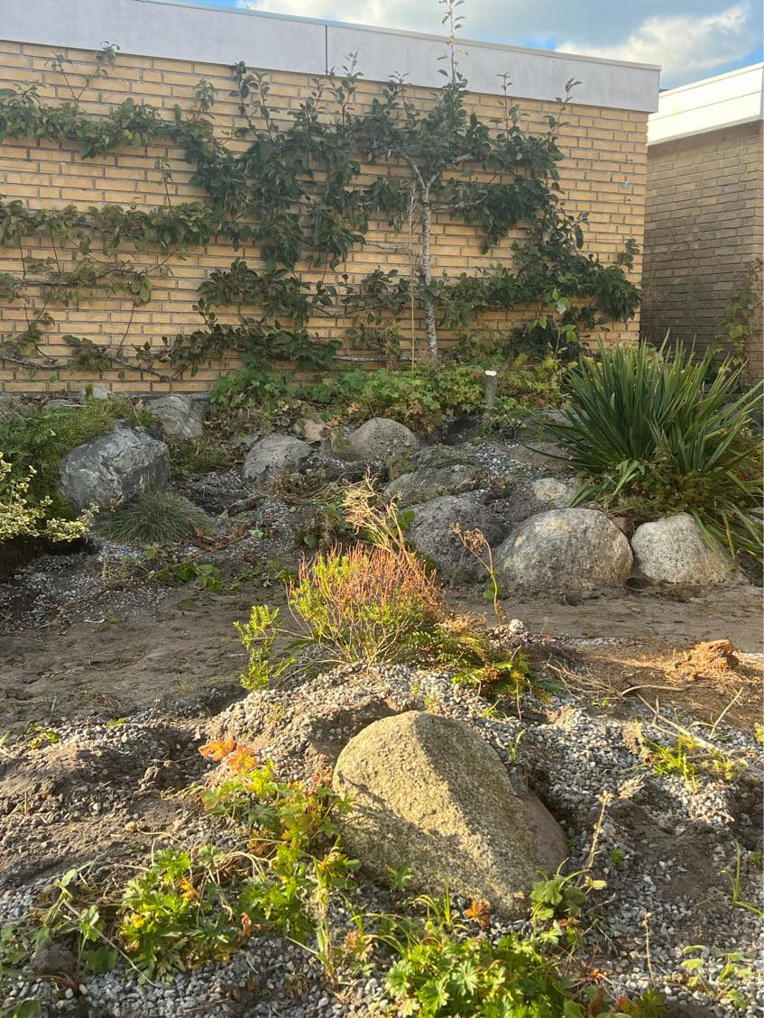 Flytning af ca 20/25 sten