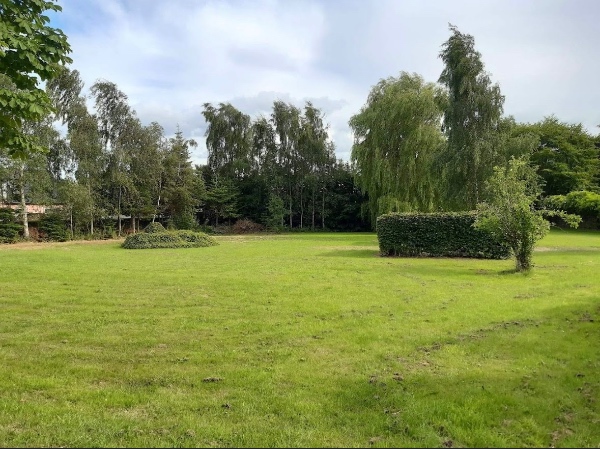 Havearbejde: hækklipning og græsslåning