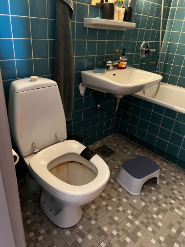 Nyt toilet og vask