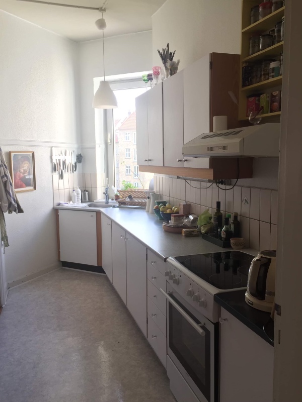 Male lejlighed 120 kvadratmeter. Vægge+ lofter