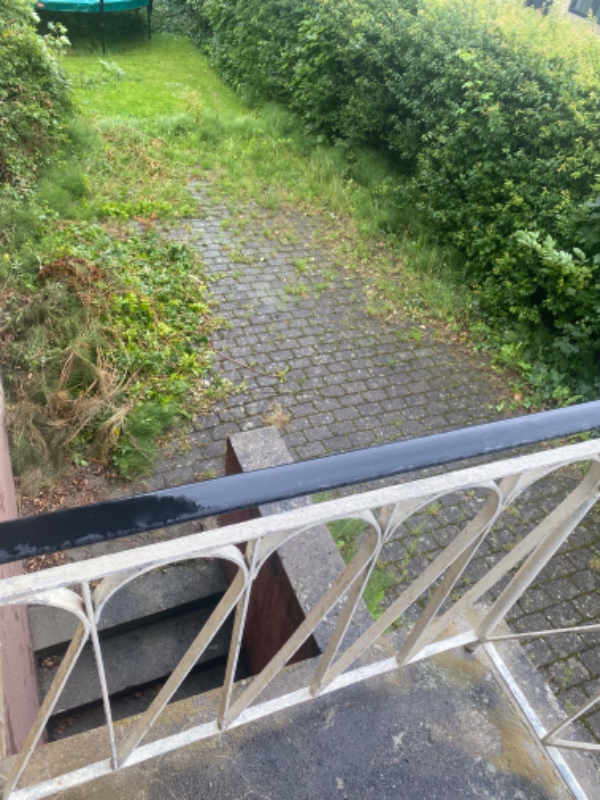 Fjernelse af ukrudt mellem fliser i to indkørsler.