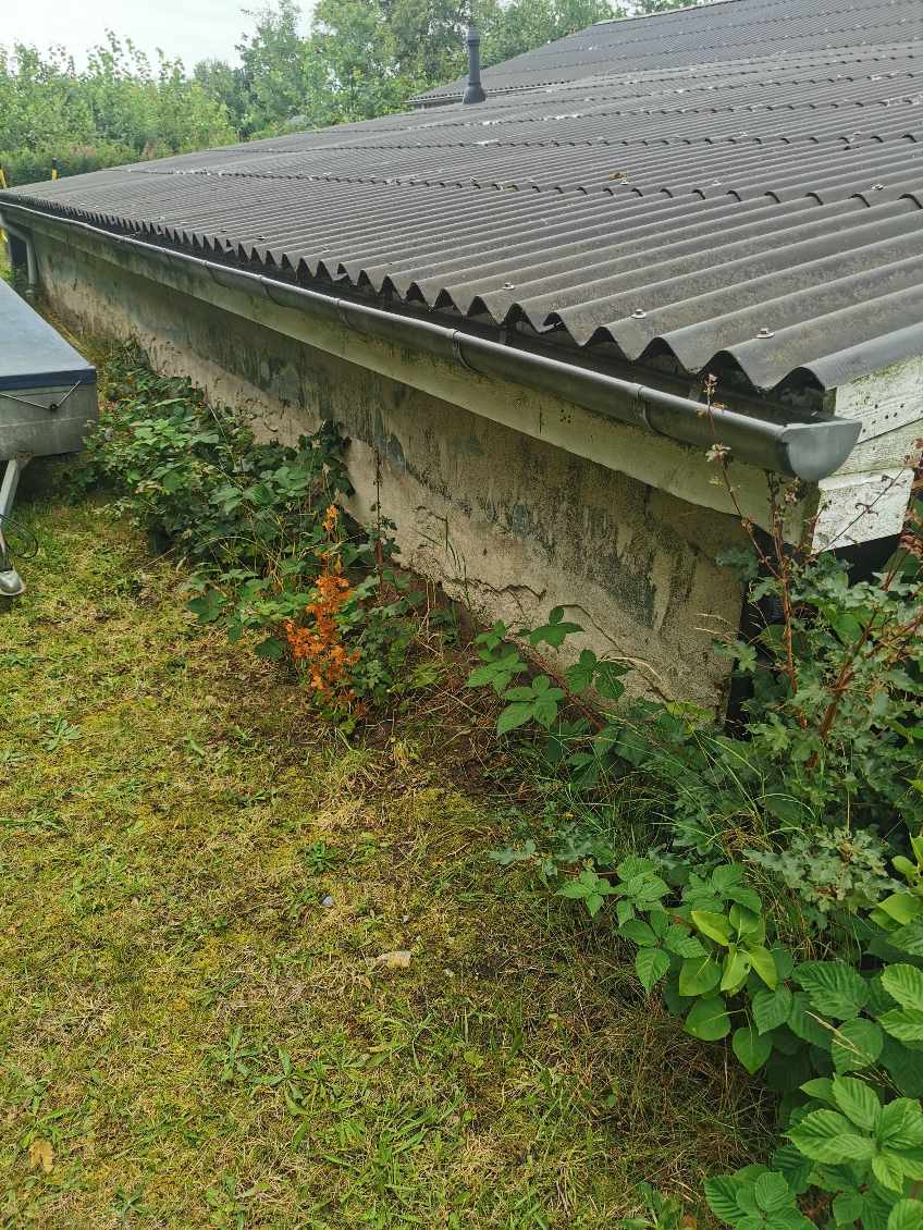 Opgravning af krat/buske