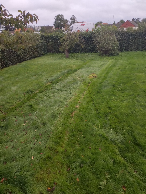 Klipning af meget langhåret græsplæne - ca 4 - 500 kvm