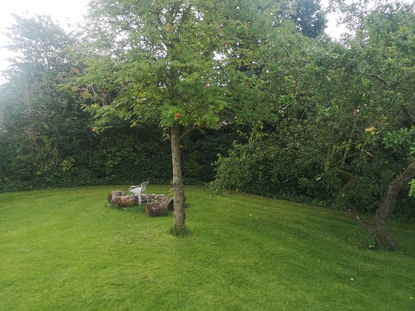 Klip af ca 100m blandet hække og buske