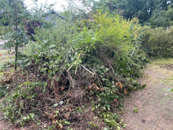 Fjernet en containerfuld haveaffald. Fin adgang til lastbil med lad/grab.