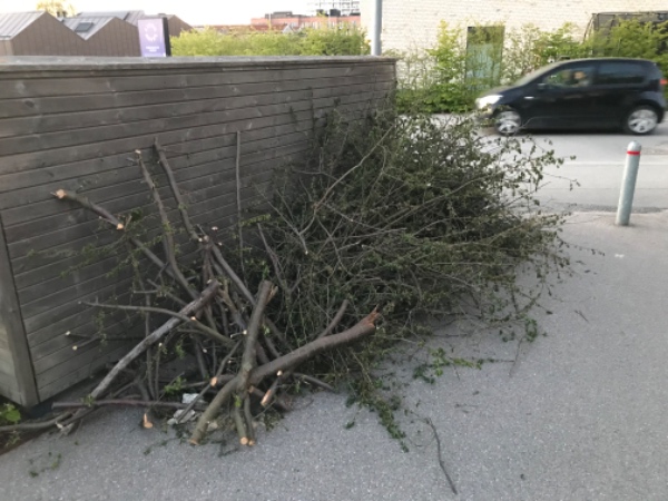 Bortførsel af afskårne grene