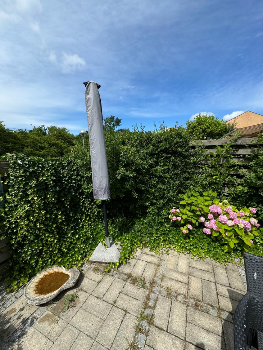 Klipning af hæk samt bortkørsel