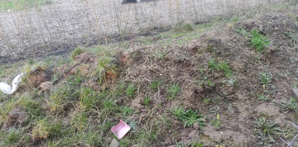 Bortskaffelse af jord