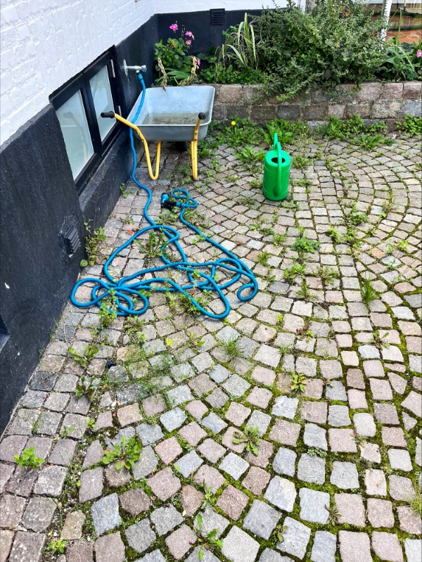 Jeg skal have kørt skrald væk og ukrudt skal luges/brændes væk i en gårdsplads med brosten.