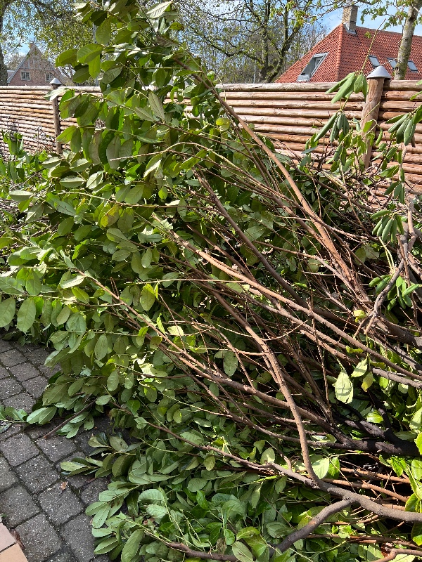 Div. haveaffald skal køres væk 